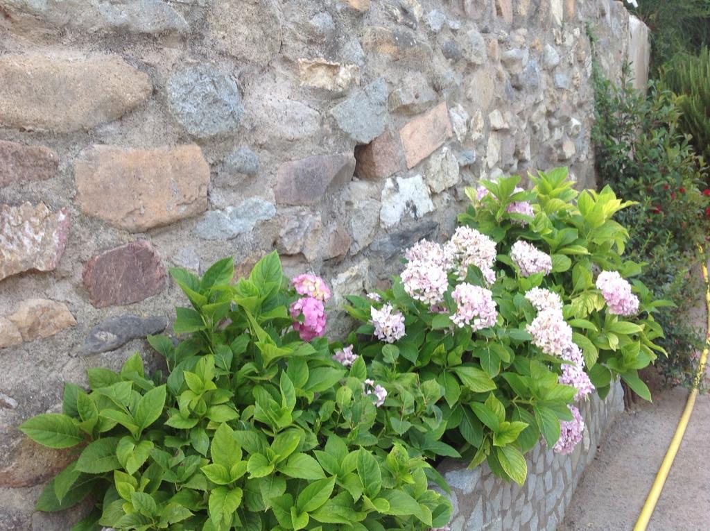 Holiday Home Can Clerc Osor Quarto foto